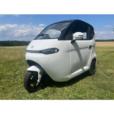 3-wheel Electric Tsheb nrog ru tsev